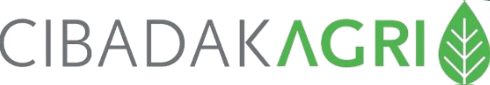 cibadak